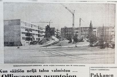 Vuosien takaa: 50 vuotta sitten rakennettiin Ollinsaarta, 30 vuotta sitten pesiskatsomoja
