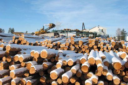 Puumarkkinoilla tunkua kuitupuusta – Pohjois-Pohjanmaalla ja Lapissa puukauppa on kolmanneksen edellisvuotta edellä