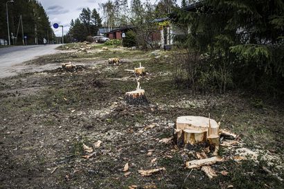 Miksi puita kaadetaan ja maata myllätään?  – Katso kartalta Rovaniemen kesän katutyöt ja muut urakat