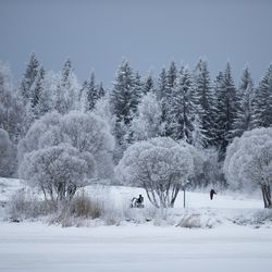 Erikoinen sääilmiö Muoniossa: Kirkonkylällä 24 astetta pakkasta, tunturissa 32,5 astetta lämpimämpää – Meteorologi ei muista nähneensä vastaavaa