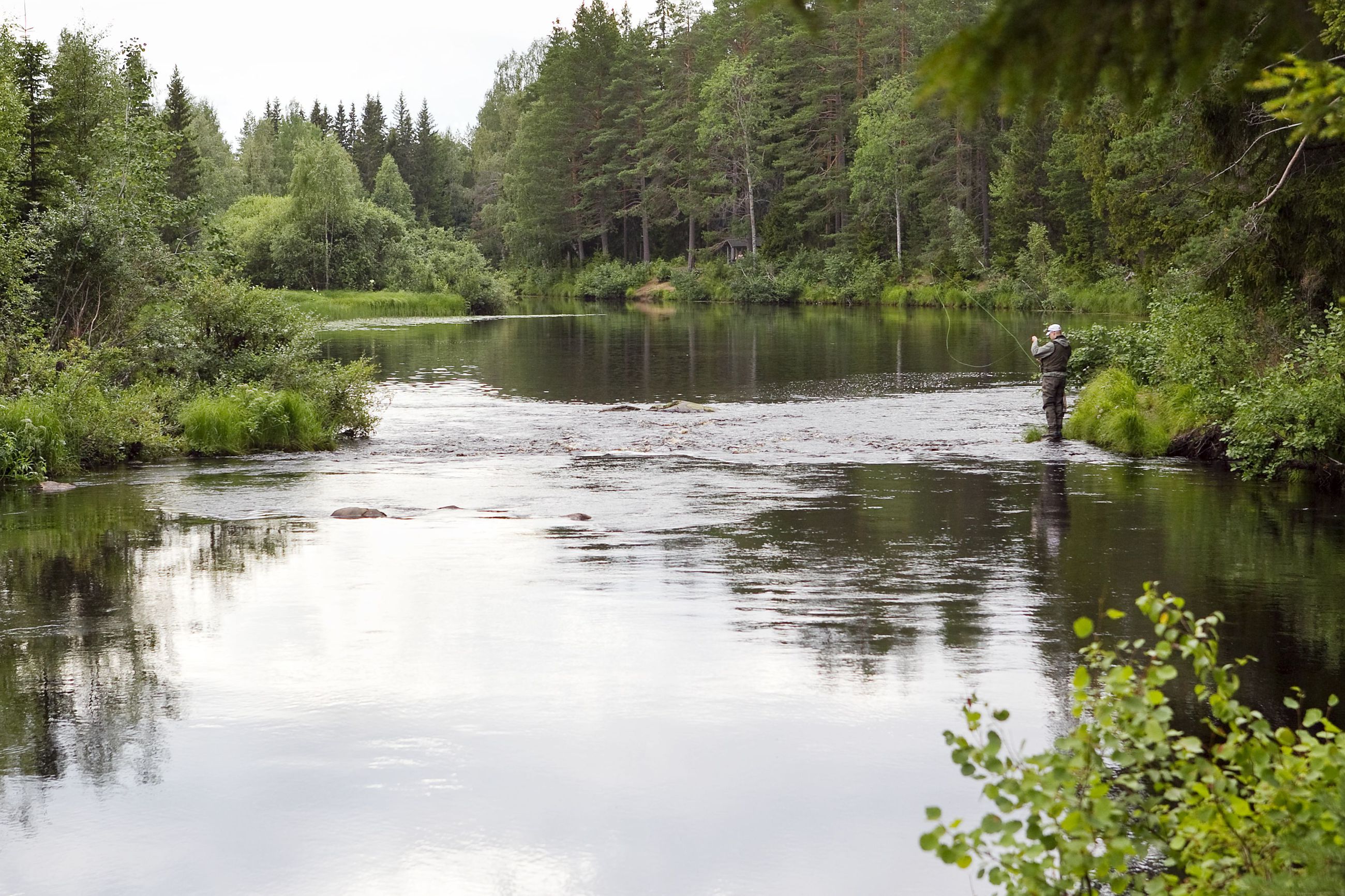 Oulun Sanginjoelle muodostetaan yli 1000 hehtaarin kokoinen  luonnonsuojelualue - uudesta alueesta tulee Suomen suurin kunnan omistama  luonnonsuojelualue | Kaleva