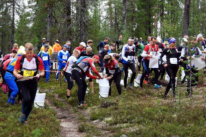 Lapland O Week -rastiviikko ja Suomen Tunturisuunnistus kokoavat Saariselälle tällä viikolla reilusti yli 1 000 suunnistajaa