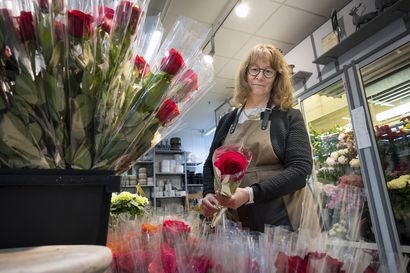 Oululainen Riitta Karjula myy tänä viikonloppuna liki pari tuhatta ruusua onnitteluksi valmistujille – nyt hän kertoo, miten ne saa säilymään pidempään kuin seuraavaan päivään