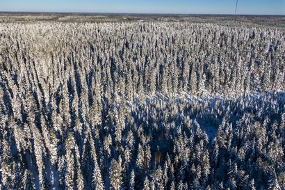 Oulun seudun ja Koillismaan luontokohteissa riitti runsaasti kävijöitä viime vuonna – Rokualla kansallispuiston kävijämäärä harppasi yli 180 prosenttia