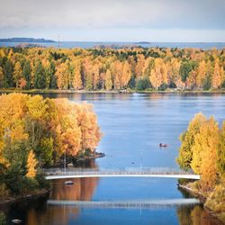 Oulussa on ihasteltu kultaista syksyä – katso lukijoiden upeita kuvia väriloistosta pohjoisessa