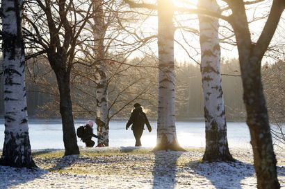 Alkuviikosta kylmenee ja yöpakkanen voi olla napakkaa Pohjois-Pohjanmaalla – viikon puolivälissä palataan plussakeleihin