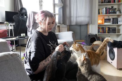 Oululainen Emilia Tikkanen heräsi kissakriisiin ja tarjoaa nyt kissoille hätäsijoituskotia –  "Rankimmat tapaukset jäävät kolkuttelemaan takaraivoon"