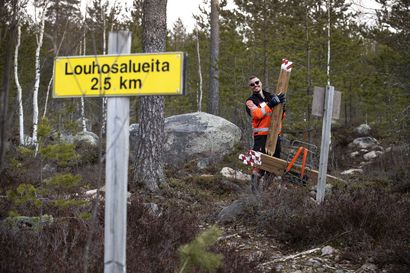 Hummastinvaaran aluetta kunnostetaan – puistomestari Kimmo Virtanen: “Reittejä pitäisi huoltaa koko ajan”