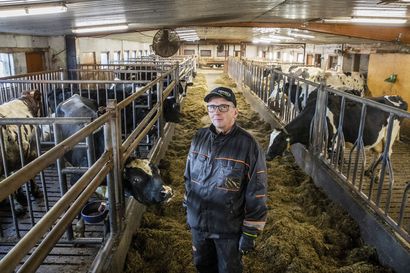 Osa Lapin maatalousyrittäjistä on vapautettu aseellisesta palveluksesta – "Minusta on enemmän hyötyä tuottamassa maitoa ja lihaa kuin poterossa"