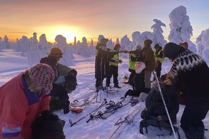 Mielenosoitukset Aalistunturilla jatkumassa: Aktivistit aikoivat hiihtää hakkuualueelle tarkoituksenaan keskeyttää työt heti