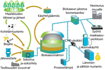 Viljelijöiden perustama High Grade Biokaasu Oy selvittää biokaasulaitoksen mahdollisuuksia Tyrnävällä