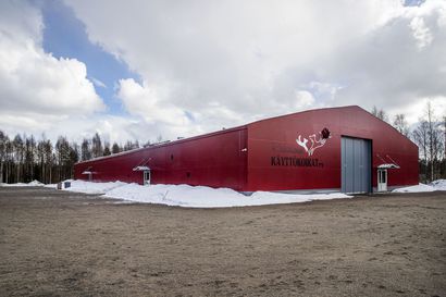 Oma areena avautui – Rovaniemen käyttökoirat -yhdistys rakennutti harrastushallin Ounasrinteelle