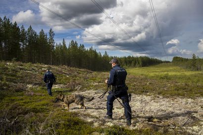 Oulun poliisi: Kadonneet iäkkäät ihmiset saattavat löytyä sadankin kilometrin päästä – "Voivat tehdä uskomattomia tempauksia"