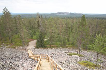 Uusi maisematupa Pyhä-Luoston kansallispuistoon – Metsähallitus rakentaa tuvan Ukko-Luoston kupeeseen
