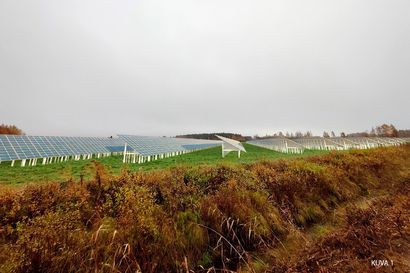 Limingan Ruotsinoja käy aurinkoenergiapuiston paikaksi nyt myös maakuntamuseolle – Lännentien hanke kaatunee hallinto-oikeuden jonotukseen