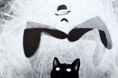Arvio: Mustan kissan kulmakarvat – Jouko Alapartasen animaatiossa sukelletaan Torniossa tapahtuvaan rikosdraamaan