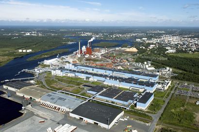 Stora Enson kartonkitehdas Oulussa käynnistyy loppuvuodesta – ostaa puuta lisää saman verran kuin Pudasjärven vuotuinen hakkuu