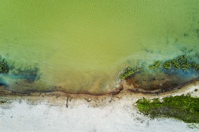 Merellä huono sinilevätilanne helpottanut – sinilevähavainnot voi ilmoittaa Järvi-meriwikiin