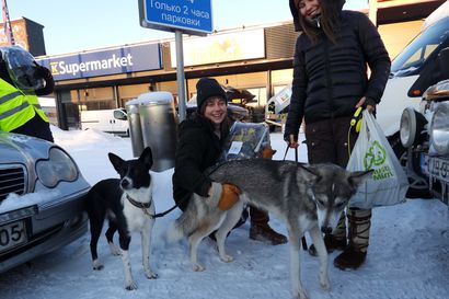 Kissan- ja koiranmuonat pantiin jakoon  Ivalossa – lahjoituksia kertyi yli 3 000 kiloa