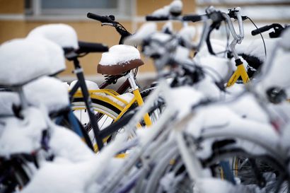 Oulun seutu selvä pyöräily-ykkönen Suomessa: Seudulla lähes joka viides matka kuljetaan pyörällä
