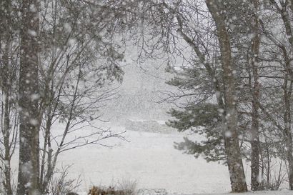 Lappiin kertyy nyt vauhdilla lunta – Kittilän Kenttärovan havaintoasemalla jo 35 senttiä
